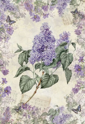 Papier do decoupage 34x49 Gałązka bzu 2 LBD240 LaBlanche
