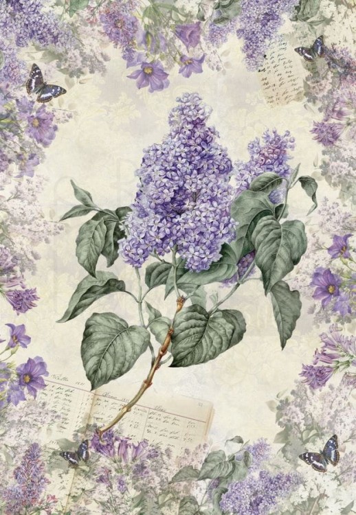 Papier do decoupage 34x49 Gałązka bzu 2 LBD240 LaBlanche