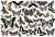 Papier do decoupage 34x49 French Labels - Motyle 1 LBD214 LaBlanche