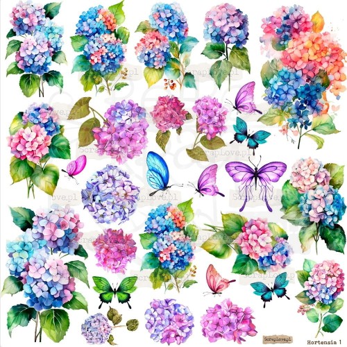 Naklejki do scrapbookingu i art journalingu Hortensja 1 ScrapLove