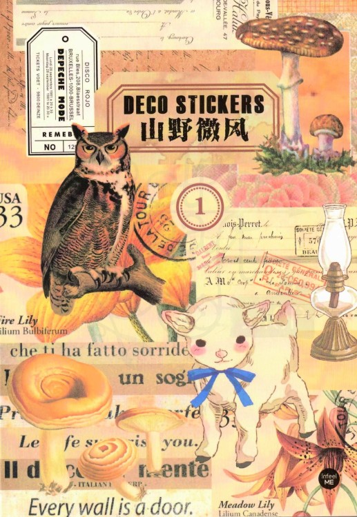 Naklejki do scrapbookingu i art journalingu w albumie 2 - 20 stron - ok 160 naklejek