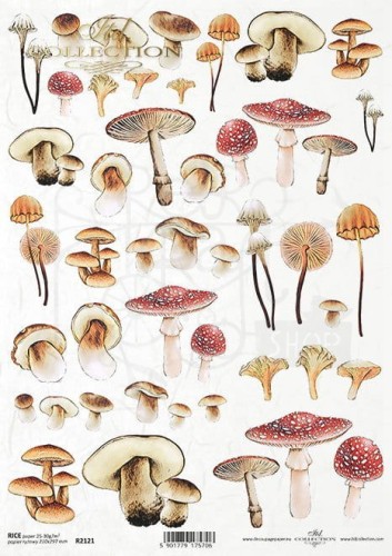 Papier ryżowy A4 Mysterious forest - grzyby R2121 ITD Collection