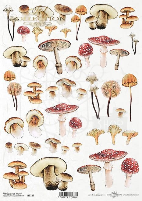 Papier ryżowy A4 Mysterious forest - grzyby R2121 ITD Collection