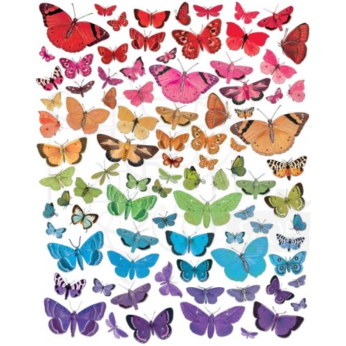 Zestaw Die cuts Spectrum Gardenia - Butterfly 89 elementów SG23640 49 and Market