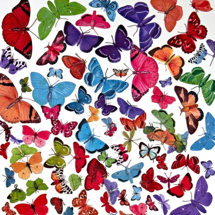 Zestaw Die cuts Spectrum Gardenia - Butterfly 89 elementów SG23640 49 and Market