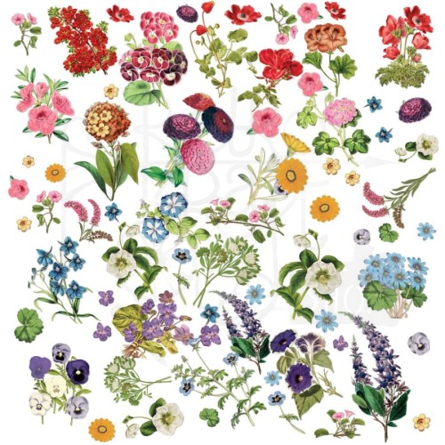 Zestaw Die cuts Spectrum Gardenia - Floral 71 elementów SG23633 49 and Market
