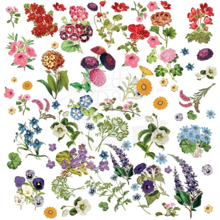 Zestaw Die cuts Spectrum Gardenia - Floral 71 elementów SG23633 49 and Market
