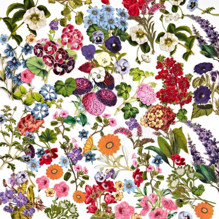 Zestaw Die cuts Spectrum Gardenia - Floral 71 elementów SG23633 49 and Market