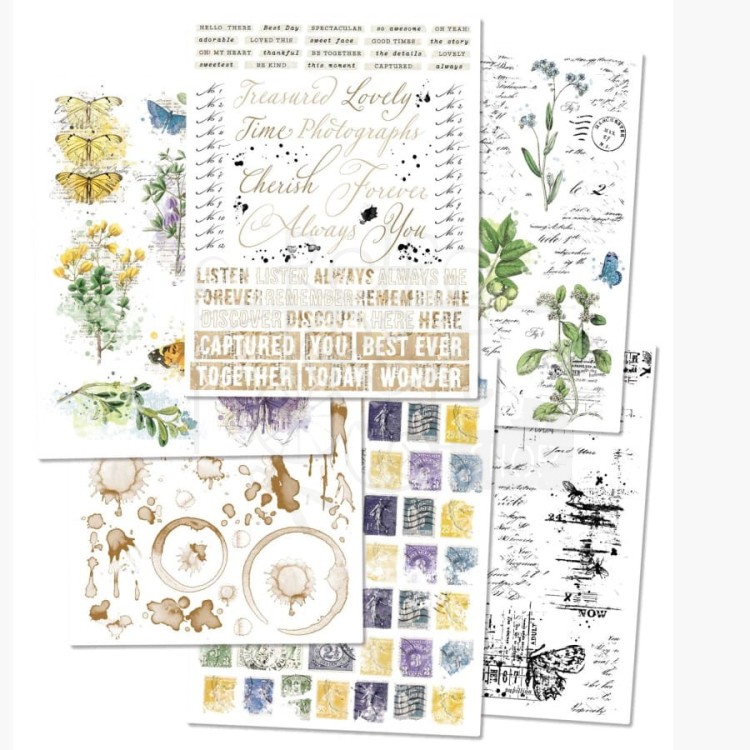 Rub-on transfer 15x20cm Curators Botanical 6 arkuszy CB35809 49 and Market