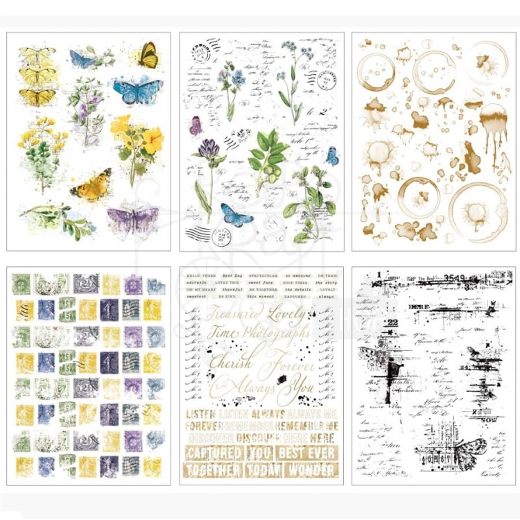 Rub-on transfer 15x20cm Curators Botanical 6 arkuszy CB35809 49 and Market