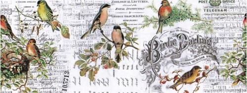 Idea-Ology Collage Paper Aviary 15cmx5.5m TH93706 Tim Holtz