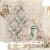 Zestaw papierów 20x20 Simple Beautiful AA-SB-PP-08 Alchemy of Art