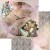 Zestaw papierów 20x20 Enchanted World - Following Alice AA-EWFA-08 Alchemy of Art