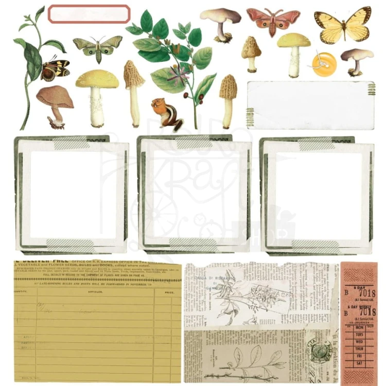 Zestaw papierów 30x30 Curators Meadow CM36752 49 And Market