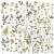Zestaw Die cuts Vintage Artistry Nature Study Mushroom and Foliage Elements 141 elementów NS23190 49 And Market