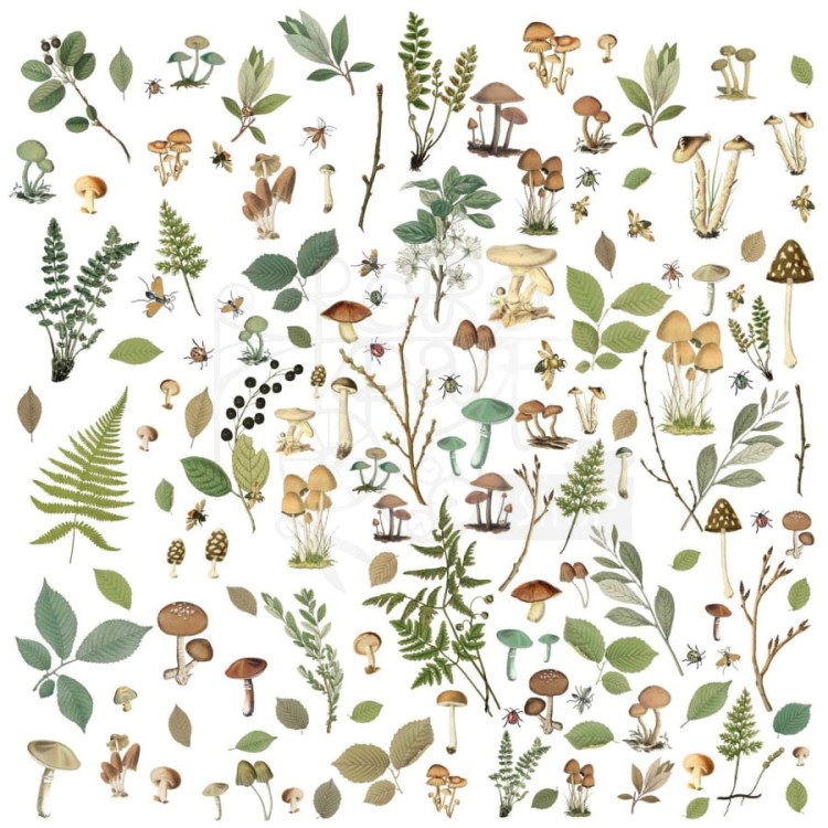 Zestaw Die cuts Vintage Artistry Nature Study Mushroom and Foliage Elements 141 elementów NS23190 49 And Market