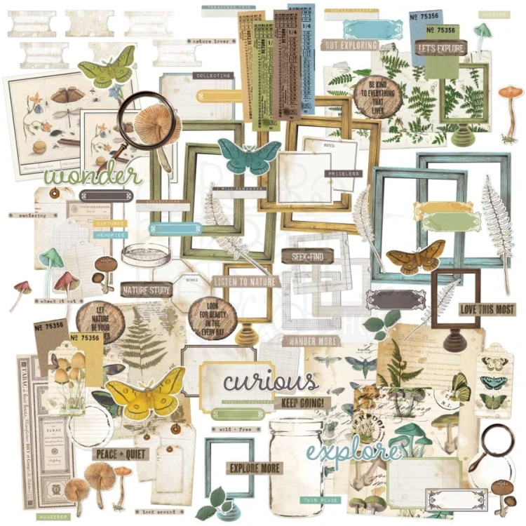 Ozdoby papierowe die-cuts Vintage Artistry Nature Study Ephemera Bits 124szt NS23206 49 And Market