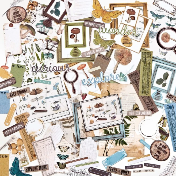 Ozdoby papierowe die-cuts Vintage Artistry Nature Study Ephemera Bits 124szt NS23206 49 And Market