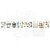 Taśma washi z naklejkami Vintage Artistry Nature Study Mushrooms NS23244 49 And Market