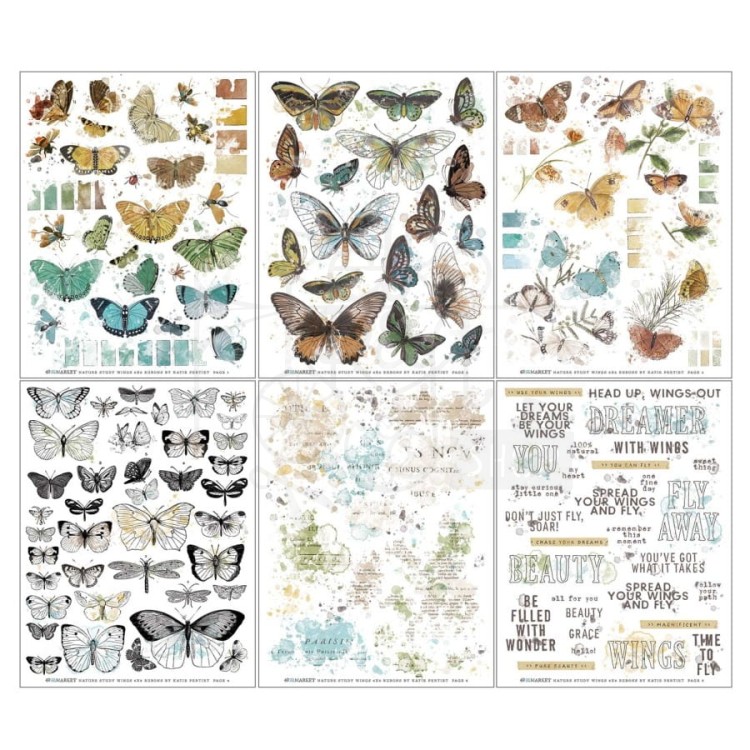 Rub-on transfer 15x20cm Vintage Artistry Nature Study Wings 6 arkuszy NS23299 49 And Market