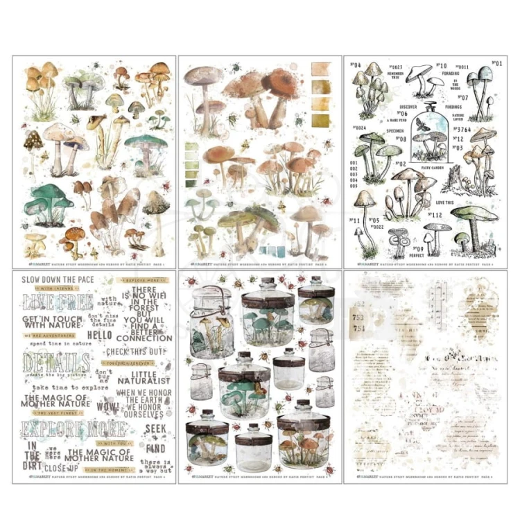 Rub-on transfer 15x20cm Vintage Artistry Nature Study Mushroom 6 arkuszy NS23305 49 And Market