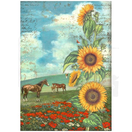 Papier ryżowy A4 Sunflower Art Horses DFSA4767 Stamperia