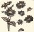Foremka silikonowa 20x13 Gerbera LBMF087 LaBlanche