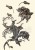 Foremka silikonowa 20x13 Lilia LBMF089 LaBlanche