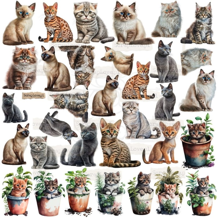 Naklejki do scrapbookingu i art journalingu Cats 1 ScrapLove