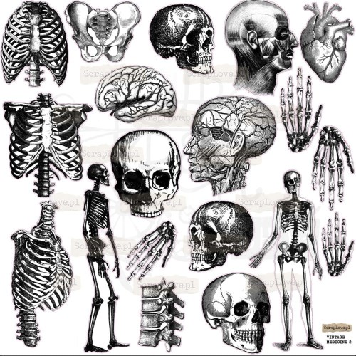 Naklejki do scrapbookingu i art journalingu Medicine 2 ScrapLove