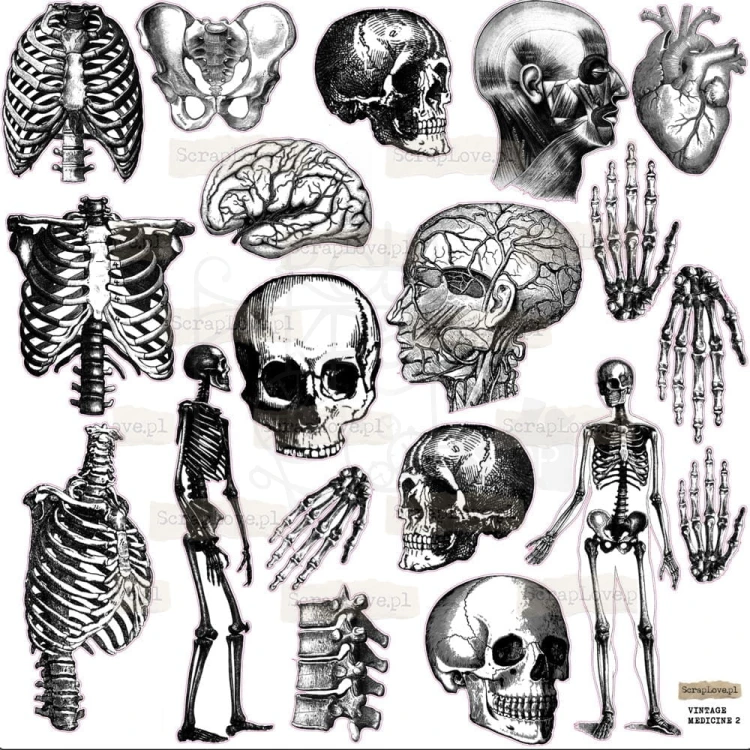 Naklejki do scrapbookingu i art journalingu Medicine 2 ScrapLove