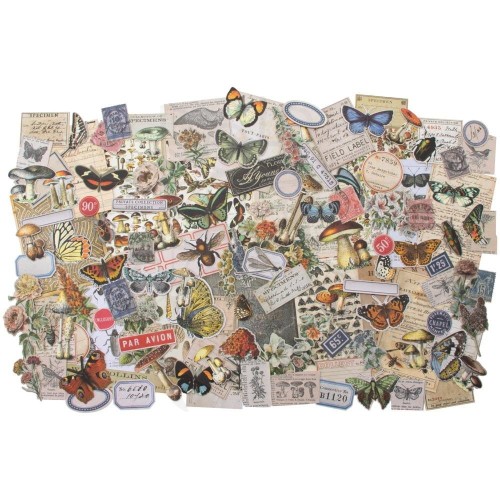 Dodatki Field Notes Ephemera Tim Holtz