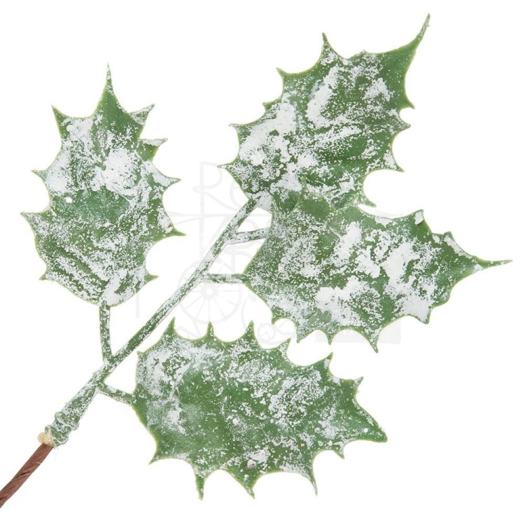 Gałązka ostrokrzew szron 17cm