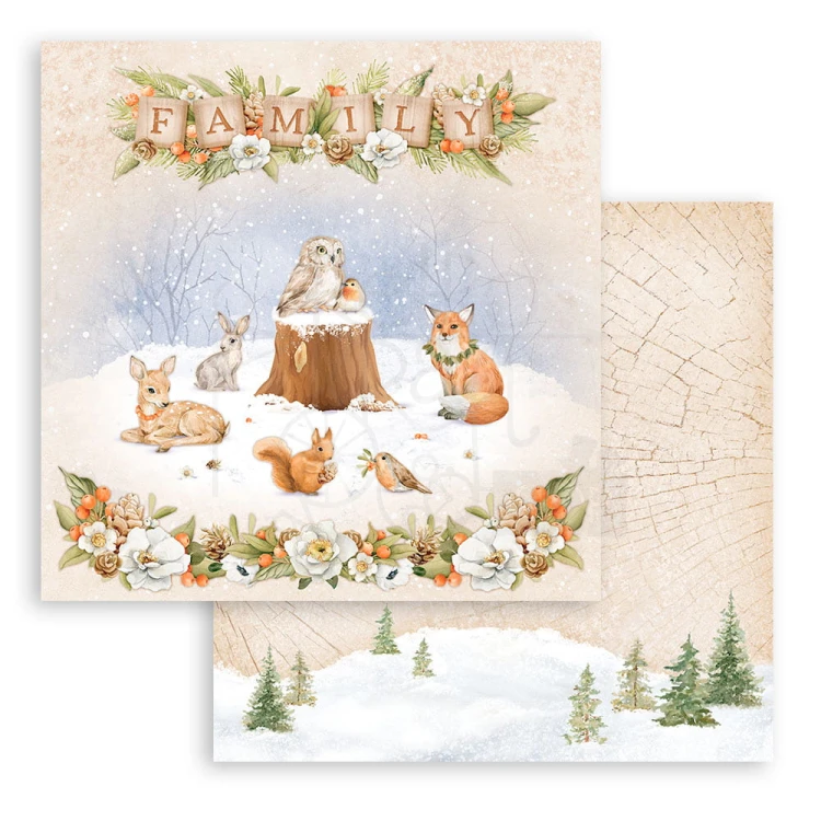 Zestaw papierów 20x20 Winter Valley SBBS88 Stamperia