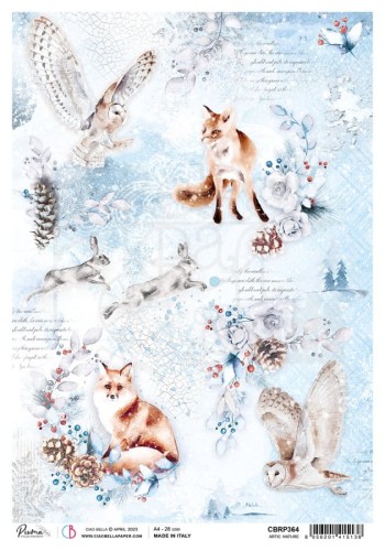 Papier ryżowy A4 Artic Nature CBRP364 Ciao Bella