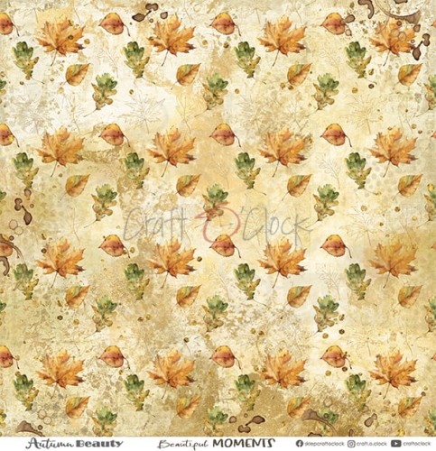 Zestaw papierów 30x30 Autumn Beauty CC-C58-AB-00 Craft O'Clock