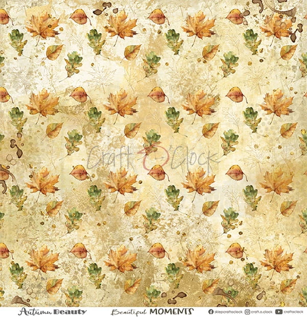 Zestaw papierów 30x30 Autumn Beauty CC-C58-AB-00 Craft O'Clock