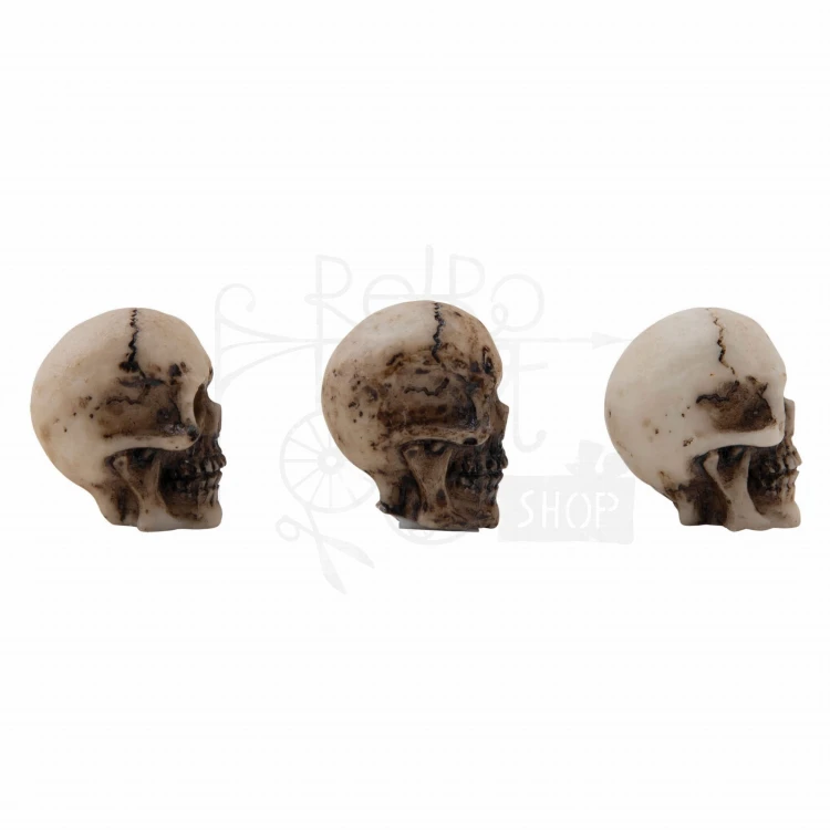 Ozdoby żywiczne czaszki i kości Idea-Ology Skulls &amp; Bones 12szt TH94339 Tim Holtz