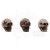 Ozdoby żywiczne czaszki i kości Idea-Ology Skulls &amp; Bones 12szt TH94339 Tim Holtz