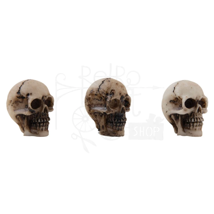 Ozdoby żywiczne czaszki i kości Idea-Ology Skulls &amp; Bones 12szt TH94339 Tim Holtz