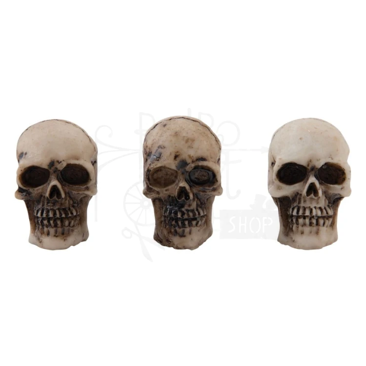 Ozdoby żywiczne czaszki i kości Idea-Ology Skulls &amp; Bones 12szt TH94339 Tim Holtz