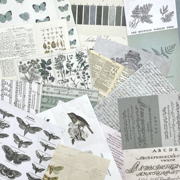 Zestaw papierów 15x20 Collage Sheets Color Swatch Eucalyptus 40 arkuszy CSE39951 49 and Market