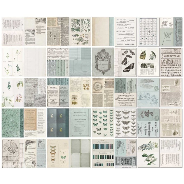Zestaw papierów 15x20 Collage Sheets Color Swatch Eucalyptus 40 arkuszy CSE39951 49 and Market
