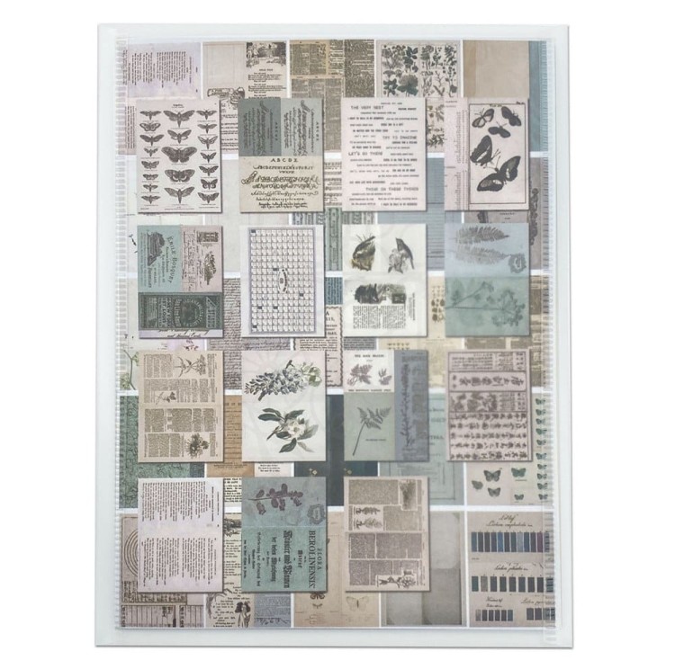 Zestaw papierów 15x20 Collage Sheets Color Swatch Eucalyptus 40 arkuszy CSE39951 49 and Market