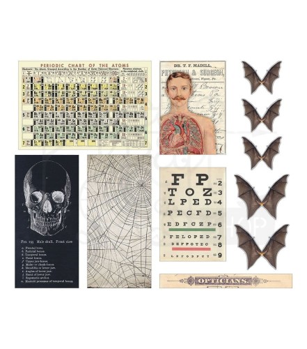 Ozdoby Idea-Ology Transparencies Halloween 11szt TH94272 Tim Holtz