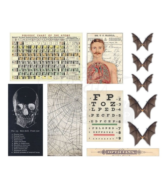 Ozdoby Idea-Ology Transparencies Halloween 11szt TH94272 Tim Holtz