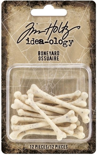 Ozdoby kości Idea-Ology Boneyard Pieces 12szt TH94168 Tim Holtz