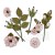 Kwiaty kwiatki papierowe Nature's Bounty - Taffy 8szt NB40308 49 and Market