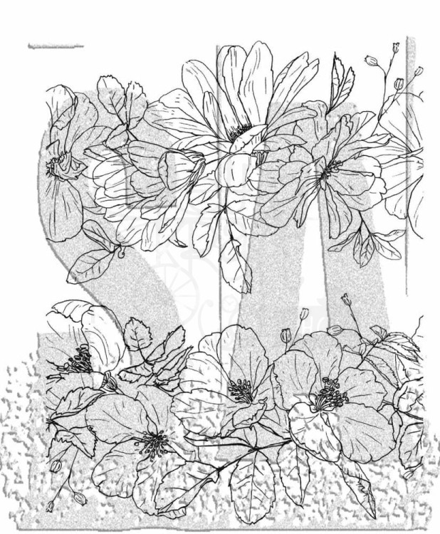 Stempel gumowy kauczukowy Floral Trims 2 elementy CMS461 Tim Holtz Stampers Anonymous