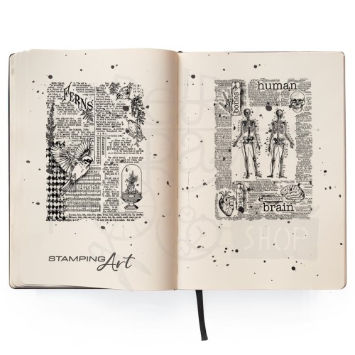 Stempel akrylowy 10x15cm Human &amp; Nature PS6060 - Ciao Bella